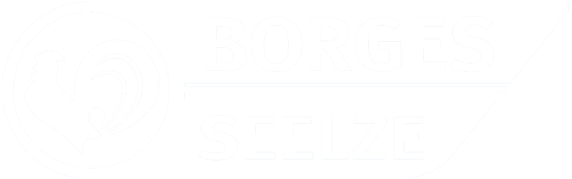 Borges Seelze